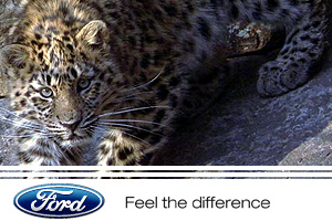 Ford – Earth