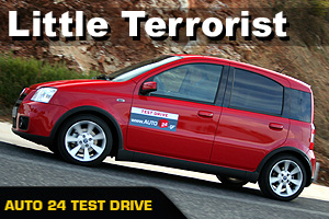 Fiat Panda 100HP – Little Terrorist