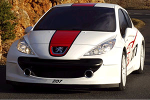 Peugeot 207 “Le Mans”