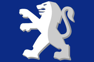 PEUGEOT SUMMER CHECK IN