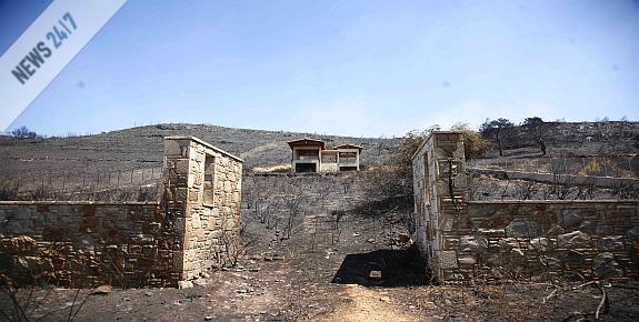 Διευκολύνσεις για πληγέντες