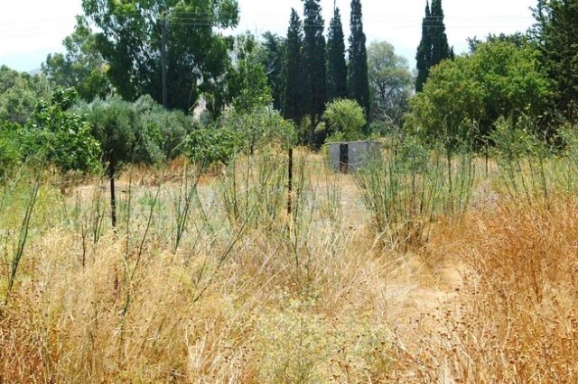 Ο στρατός δεν ξέρει τι έχει