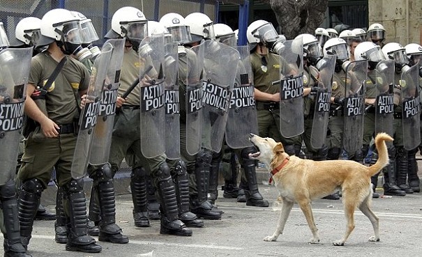 Ωδή στον Λουκάνικο