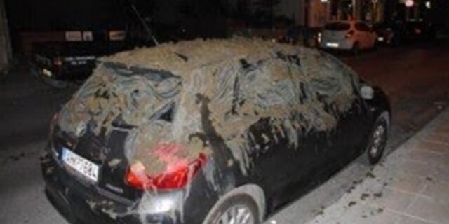 Ακαθαρσίες σε αυτοκίνητο βουλευτή