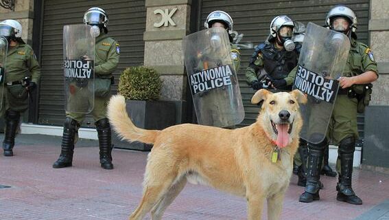 Όχι Λουκάνικος αλλά Θοδωρής