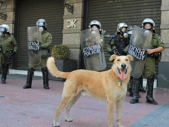 Όχι Λουκάνικος αλλά Θοδωρής