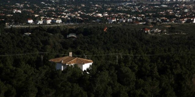Ψηφιακή αναζήτηση καταπατητών γης