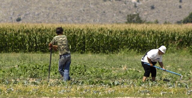 Σε δύσκολη θέση οι Έλληνες αγρότες