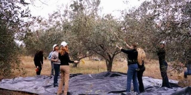 Ανοίγουν ΕΠΑΛ για… γεωργούς