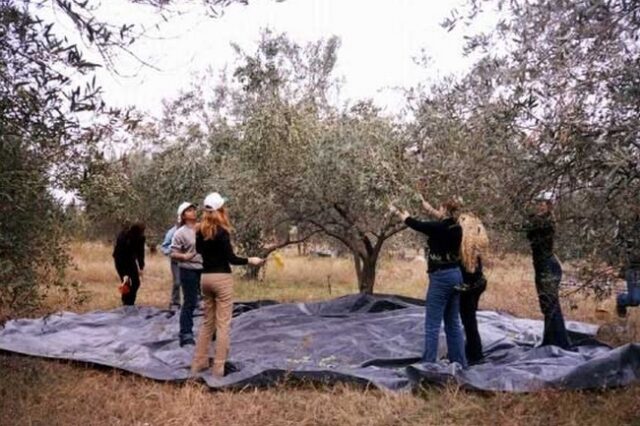 Ανοίγουν ΕΠΑΛ για… γεωργούς