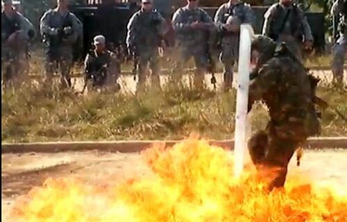 Οργανώνονται ομάδες πολιτοφυλακής στο διαδίκτυο