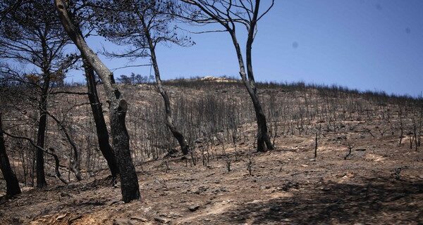Νέο Βατοπέδι στο Πεντελικό καταγγέλλει ο ΣΥΡΙΖΑ