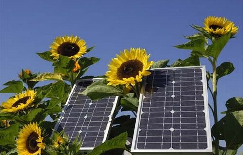 Το σχέδιο της κυβέρνησης για την πώληση ηλιακής ενέργειας