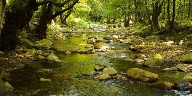 Καταδίκη της Ελλάδας για παράβαση κοινοτικής οδηγίας