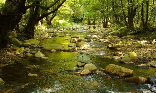 Καταδίκη της Ελλάδας για παράβαση κοινοτικής οδηγίας