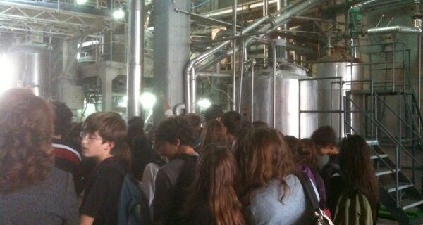 H Rolco “σύμμαχος” στην εκπαίδευση των μαθητών