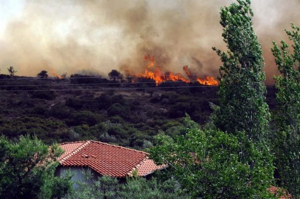 Φωτιές σε Βάγια και Υλίκη