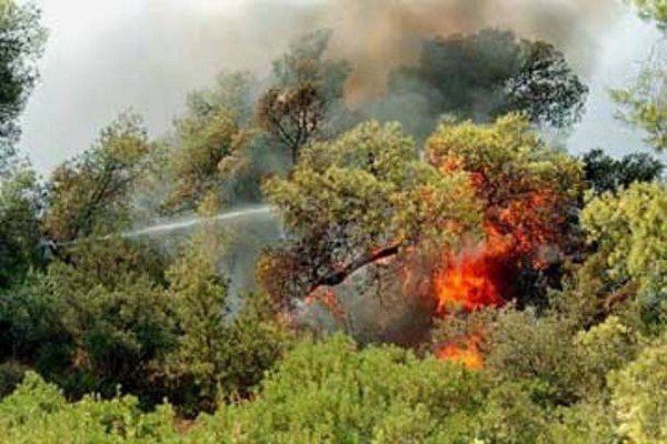 Η πρώτη φωτιά του καλοκαιριού στην Αργολίδα