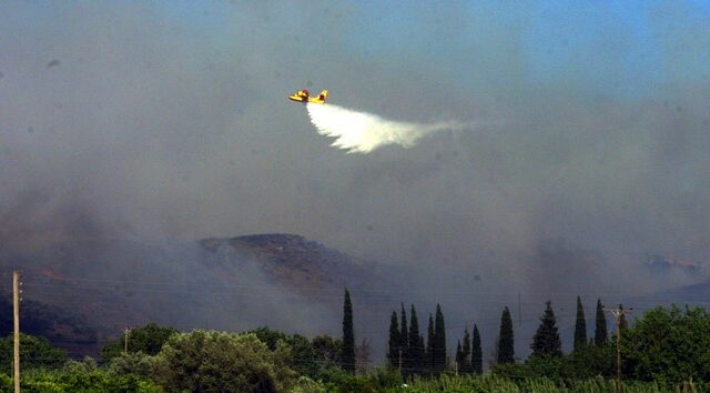 Πυρκαγιές σε Ναύπλιο και Μαραθώνα
