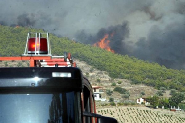 Σε εξέλιξη πυρκαγιές σε Ναύπλιο και Θήβα