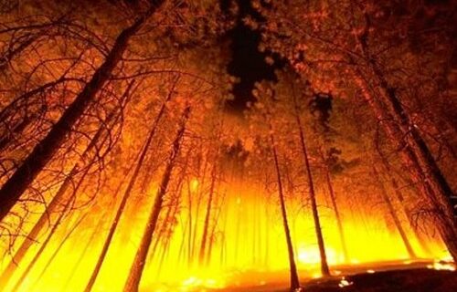 Πιστώσεις 18.500.000 ευρώ στους δήμους για τις φωτιές