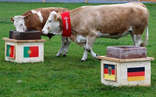 Euro(cow) και Ψεκασμοί