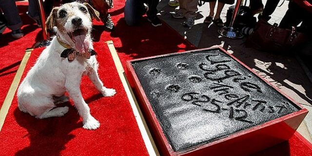 Τα πατουσάκια του Αγκι στο χολιγουντιανό Walk of Fame