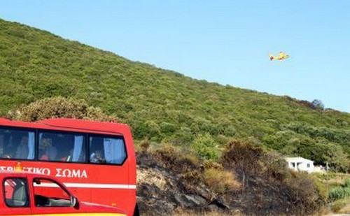 Φωτιά στη Βοιωτία