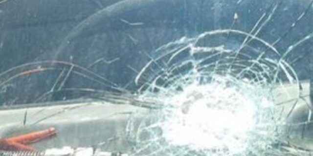 Επιτέθηκε σε φορτηγό και οδηγό που του…τρόμαξε τα γίδια!