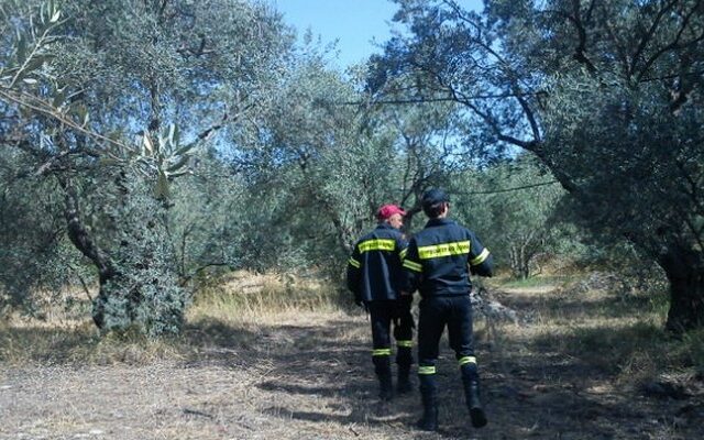 Επιχείρηση της ΕΜΑΚ για τον εντοπισμό μυστηριώδους ερπετού στη Φθιώτιδα