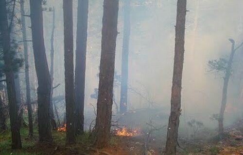 Φωτιές σε Όλυμπο και Κασσάνδρεια