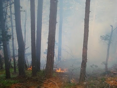 Φωτιές σε Όλυμπο και Κασσάνδρεια