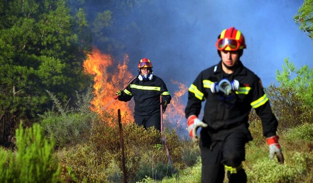 Πυρκαγιά στην περιοχή Λαύκα του νομού Κορινθίας