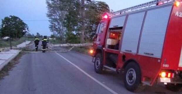 Ρέθυμνο: Από χέρι εμπρηστή οι φωτιές, λέει ο διοικητής Πυροσβεστικής