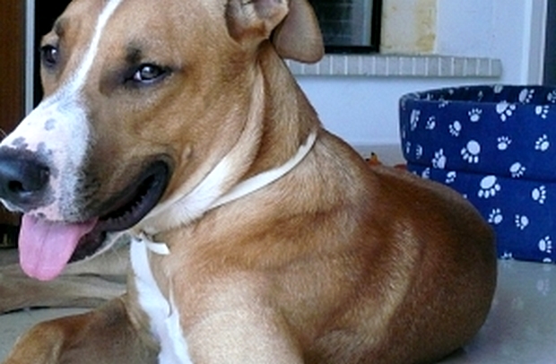 “Με Χωρίς Γυναίκες”: ο Βαγγέλης Σεϊτανίδης αποκαλύπτει στο Flix την νέα του ταινία