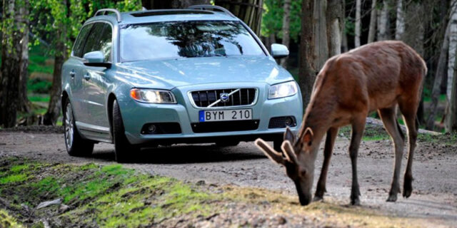 Volvo: Έτσι θα είναι τα συστήματα ασφάλειας στο μέλλον