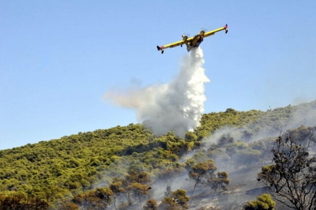 Υπό μερικό έλεγχο η φωτιά στους Γαργαλιάνους Μεσσηνίας