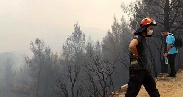 Σε εξέλιξη νέα πυρκαγιά στην Αριδαία Πέλλας. Οριοθετήθηκε στην Αλεξανδρούπολη