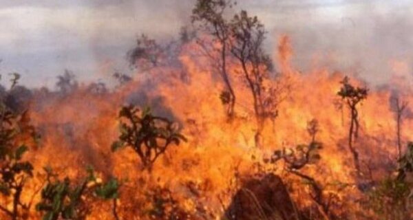 Στις φλόγες περιοχές σε Αρκαδία και Κεφαλλονιά