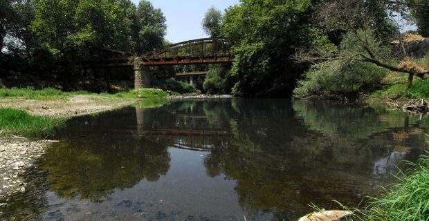 Δεκάδες νεκρά ψάρια εντοπίστηκαν στον Πηνειό