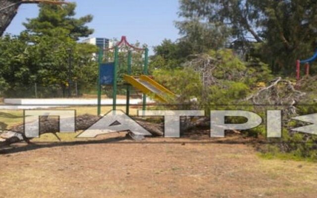 Δέντρο έπεσε σε παιδική χαρά στην Αμαλιάδα
