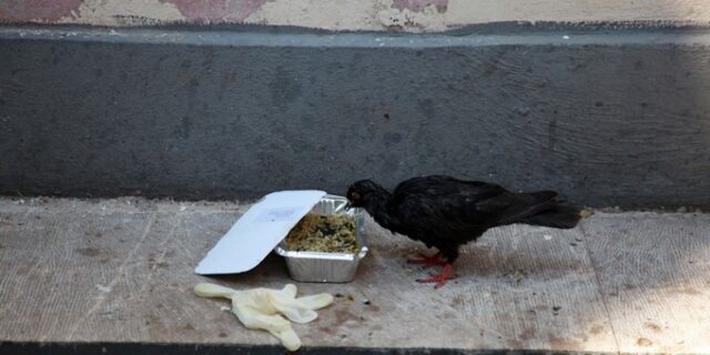 Οι Δύο Πληγές μας