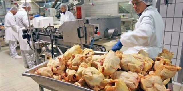 Καρτέλ πουλερικών: Για δύο 10ετίες καθόριζαν τις τιμές και μοίραζαν πελάτες
