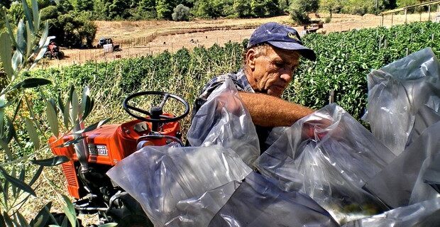 Υπόθεση φοροδιαφυγής: Σουβλατζής με καταθέσεις 3 εκατ. ευρώ