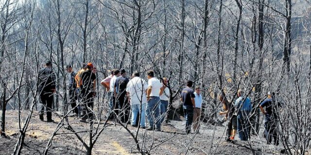 Το πόρισμα της Βουλής για το ταμείο Μολυβιάτη καίει τους αρμόδιους πολιτικούς
