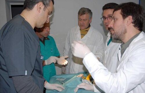 Μέτρα για την καταστολή του ιού της λύσσας