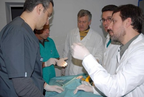 Μέτρα για την καταστολή του ιού της λύσσας