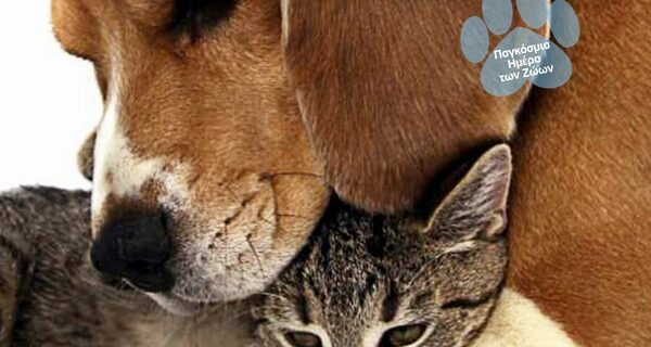 Η WIND φροντίζει «Στην Πράξη» για τα αδέσποτα σε συνεργασία με την Animal Action