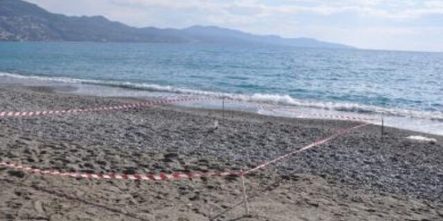 Χειροβομβίδα σε παραλία της Καλαμάτας