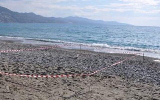 Χειροβομβίδα σε παραλία της Καλαμάτας